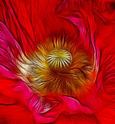 Halloween Elwell Royalty Free Images - Red Poppy Heart Royalty-Free Image by Chris Thaxter