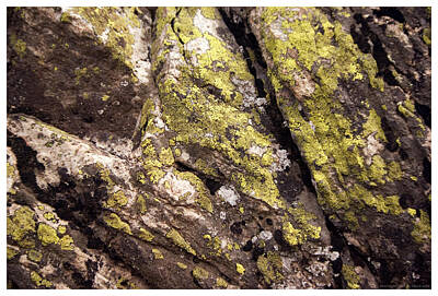 Lucky Shamrocks Rights Managed Images - Rock Wall 1 Royalty-Free Image by Mark Ivins