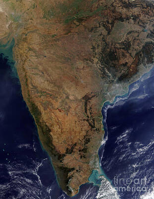 Abstract Animalia - Satellite View Of Southern India by Stocktrek Images