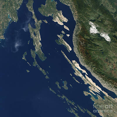 Shark Art - Satellite View Of The Croatian Islands by Stocktrek Images