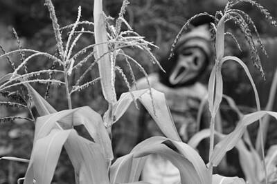 Fireworks - Scarecrow in the Corn Black and White by James BO Insogna