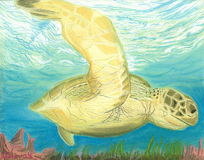 Reptiles Drawings Royalty Free Images - Sea Turtle  Royalty-Free Image by Jackie Novak