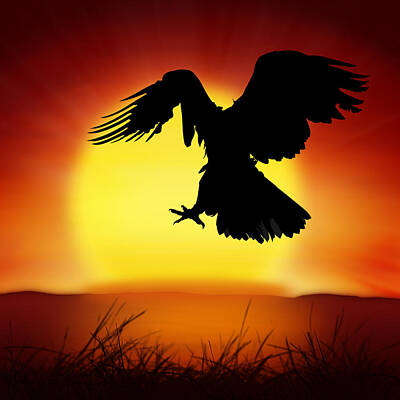 Animals And Earth Rights Managed Images - Silhouette Of Eagle Royalty-Free Image by Setsiri Silapasuwanchai