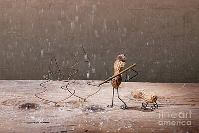 Still Life Photos - Simple Things - Christmas 04 by Nailia Schwarz