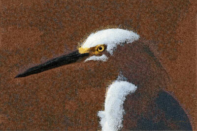 The Best Of Erin Hanson - Snowy Egret Profile Painterly by Ernest Echols