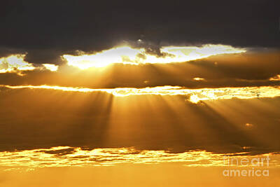 Lights Camera Action - Sun rays at sunset sky by Elena Elisseeva