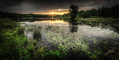 Everet Regal Royalty-Free and Rights-Managed Images - Swamp Sunrise by Everet Regal