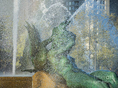 Unicorn Dust - Swann Fountain by John Greim