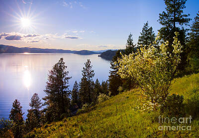 Achieving - Syringa Sun by Idaho Scenic Images Linda Lantzy