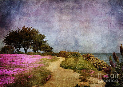 Laura Iverson Royalty-Free and Rights-Managed Images - The Beckoning Path by Laura Iverson