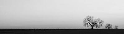 Open Impressionism California Desert - Three Trees Panorama in Black and White by James BO Insogna