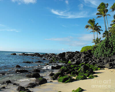 Reptiles Photo Royalty Free Images - Turtle Beach Oahu Hawaii Royalty-Free Image by Rebecca Margraf