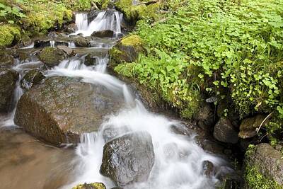 Mountain Royalty Free Images - Water Cascading Over Rocks, Mount Hood Royalty-Free Image by Craig Tuttle