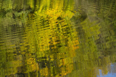 Word Signs - Water Reflection Abstract Autumn 1 D by John Brueske