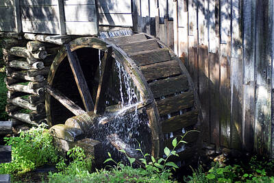 Grateful Dead Royalty Free Images - Water Wheel Royalty-Free Image by Lisha Segur