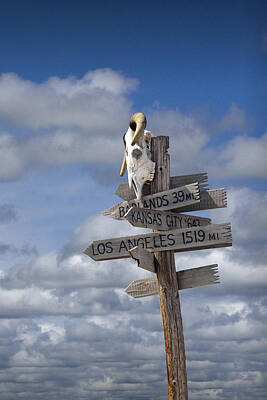 Blooming Daisies - Western Sign Post with a Steer Skull by Randall Nyhof