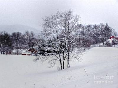 Farm House Style - Winter Landscape 6 by Dan Stone