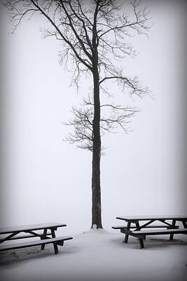 Space Photographs Of The Universe - Winter Picnic Tables Tree by Lone Palm Studio