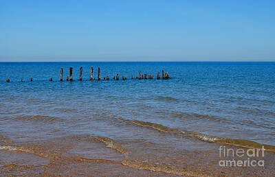 Mother And Child Paintings - Wooden Posts- Lake Michigan by Nancy Mueller