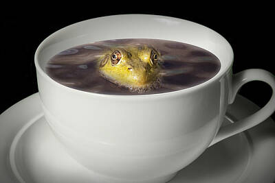 Surrealism Royalty-Free and Rights-Managed Images - Yikes there is a Frog in my Java by Randall Nyhof