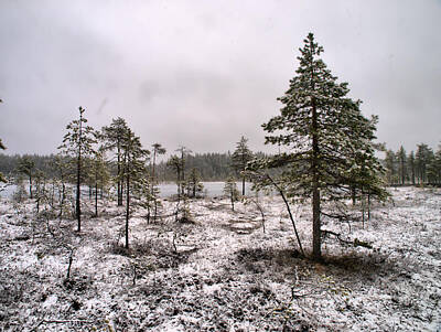 Gaugin -  April snow 1 by Jouko Lehto
