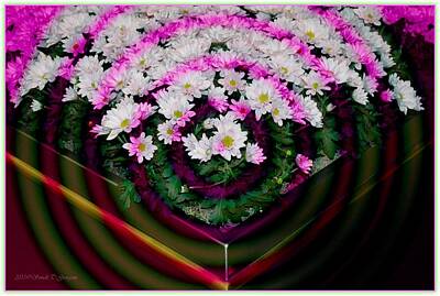 Floral Digital Art -  Floral Rings by Sonali Gangane