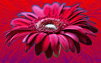 Surrealism Royalty-Free and Rights-Managed Images -  Red Flower by Bruce IORIO