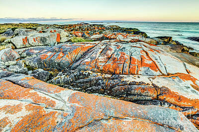 Circle Abstracts - Bay of Fires Tasmania by Benny Marty