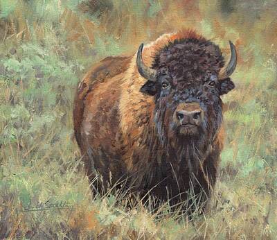 Mammals Royalty-Free and Rights-Managed Images - Bison by David Stribbling
