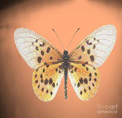 The Rolling Stones Royalty Free Images - Butterfly5 Royalty-Free Image by Belinda Threeths