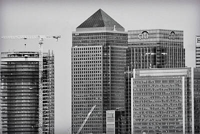Birds Photo Rights Managed Images - Canary Wharf London Royalty-Free Image by Martin Newman