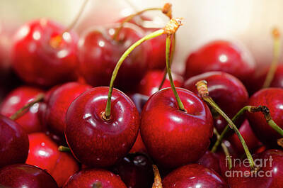 Route 66 - Close up of fresh ripe red cherries, cherry, fruit by Perry Van Munster