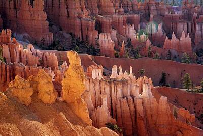 Western Buffalo Royalty Free Images - Colorful Hoodoos of Bryce Canyon       Royalty-Free Image by Bob Cuthbert