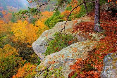 Cartoons Tees - Conkles Hollow in October by Larry Knupp