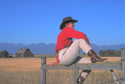Winter Animals - Cow Girl on Fence in Montana by Carl Purcell