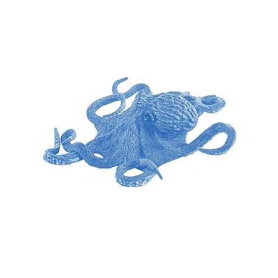 Tool Paintings - Deep Ocean Animals - Octopus 4 by Celestial Images