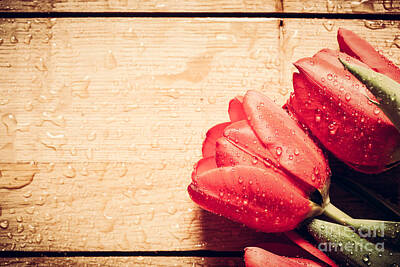 City Lights - Fresh red tulip flowers bouquet on wood by Michal Bednarek