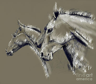 Animals Drawings - Horse study by Daliana Pacuraru