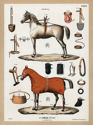 Animals Drawings - Horses with antique horseback riding equipments by Vincent Monozlay