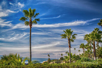 Moody Trees - Laguna Beach by Mariola Bitner