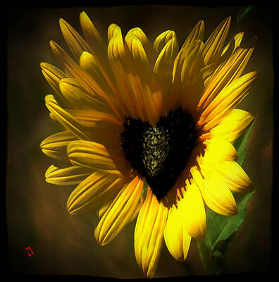 Sunflowers Paintings - Love Sunflower by Adam Vance