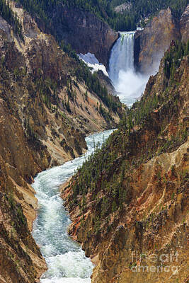Fruit Photography Royalty Free Images - Lower Falls on the Yellowstone river Royalty-Free Image by Henk Meijer Photography