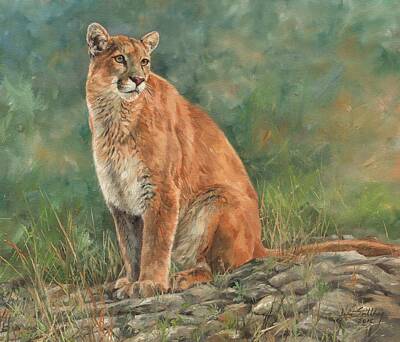 Mountain Paintings - Mountain Lion by David Stribbling