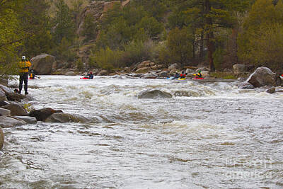 Steven Krull Royalty-Free and Rights-Managed Images - Paddlefest on the Arkansas River in Buena Vista Colorado by Steven Krull
