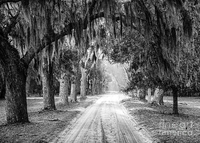 Rustic Cabin - Road to Dungeness Cumberland Island Georgia by Dawna Moore Photography