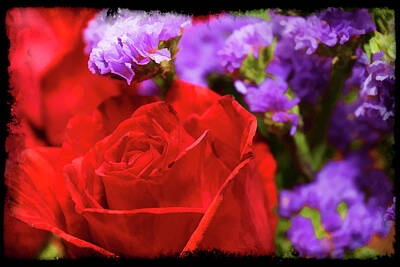 Roses Photo Royalty Free Images - Roses Are Red Royalty-Free Image by Ricky Barnard