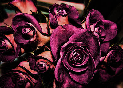 Thomas Moran Royalty Free Images - Roses Royalty-Free Image by Cathy Harper