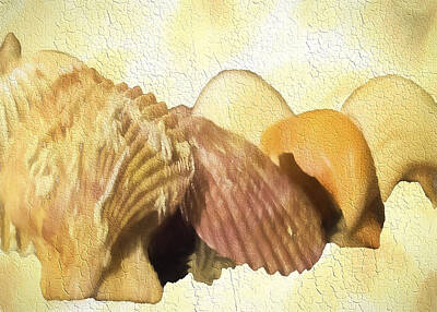 Airplane Paintings Royalty Free Images - Sea shells Color 2 Royalty-Free Image by Cathy Anderson