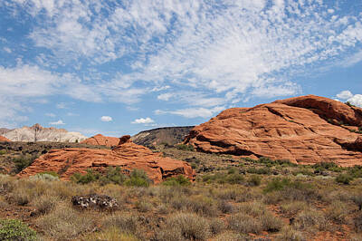 Design Turnpike Books Rights Managed Images - Snow Canyon State Park  Royalty-Free Image by Bob Cuthbert