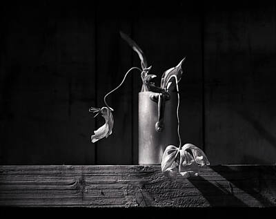 Still Life Photos - Still Life with Tulip by Nailia Schwarz